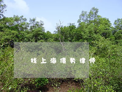 找上海债务律师 找上海债务律师