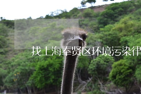 找上海奉贤区环境污染律师咨询 找上海奉贤区环境污染律师咨询