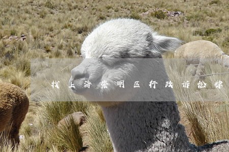 找上海崇明区行政诉讼律师咨询 找上海崇明区行政诉讼律师咨询