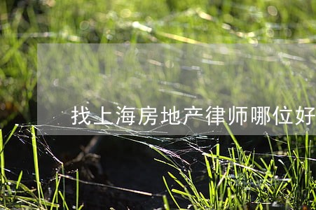 找上海房地产律师哪位好 找上海房地产律师哪位好