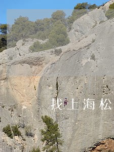 找上海松江区房产纠纷律师咨询 找上海松江区房产纠纷律师咨询