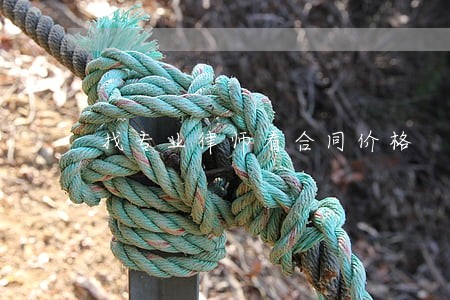 找专业律师看合同价格 找专业律师看合同价格