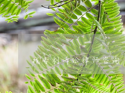 找专利诉讼律师咨询 找专利诉讼律师咨询