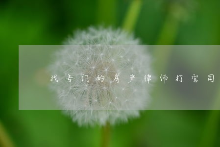 找专门的房产律师打官司 找专门的房产律师打官司