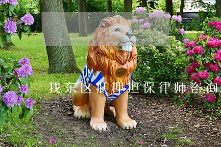 找东区抵押担保律师咨询 找东区抵押担保律师咨询