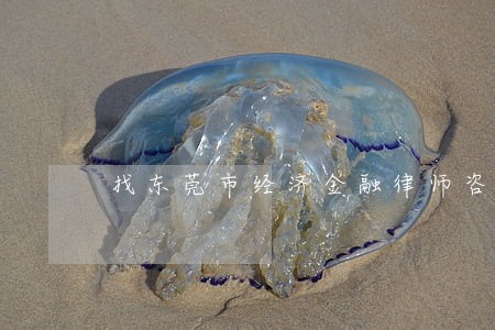 找东莞市经济金融律师咨询 找东莞市经济金融律师咨询