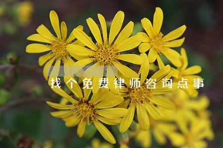 找个免费律师咨询点事 找个免费律师咨询点事