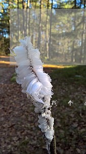 找个南宁律师咨询信用卡逾期 找个南宁律师咨询信用卡逾期