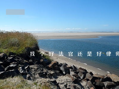 找个好法官还是好律师