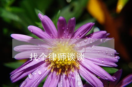 找个律师谈谈 找个律师谈谈