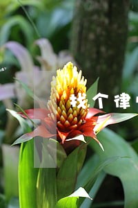 找个律师问问合同纠纷