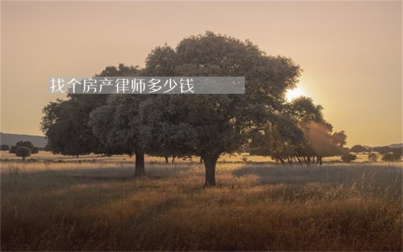 找个房产律师多少钱 找个房产律师多少钱