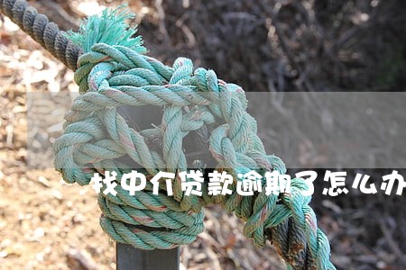 找中介贷款逾期了怎么办 找中介贷款逾期了怎么办