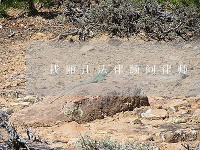 找丽江法律顾问律师 找丽江法律顾问律师