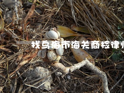 找乌海市海关商检律师咨询 找乌海市海关商检律师咨询