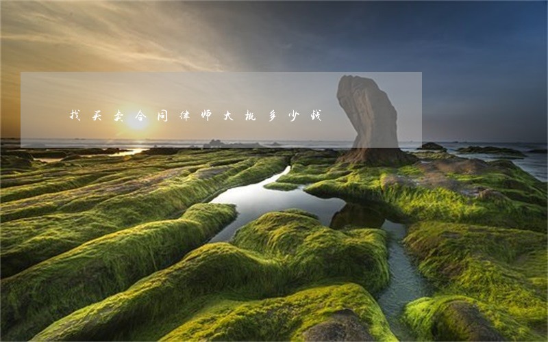找买卖合同律师大概多少钱 找买卖合同律师大概多少钱