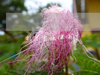 找了当地律师 找了当地律师