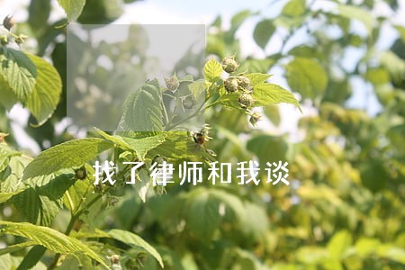找了律师和我谈 找了律师和我谈