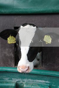 找人上门打架犯了哪条法律 找人上门打架犯了哪条法律