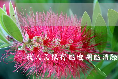 找人民银行能逾期能消除吗 找人民银行能逾期能消除吗