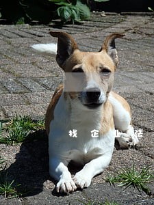 找企业法律顾问费多少钱 找企业法律顾问费多少钱