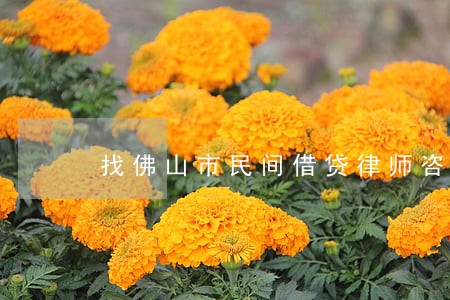 找佛山市民间借贷律师咨询 找佛山市民间借贷律师咨询