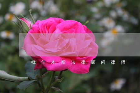 找佳木斯法律顾问律师