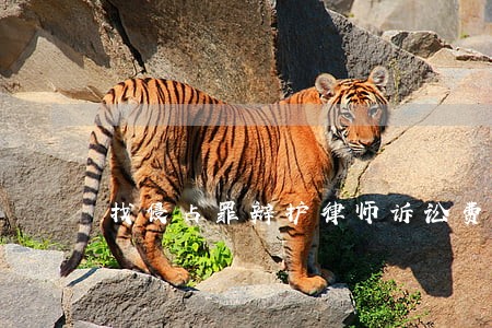 找侵占罪辩护律师诉讼费 找侵占罪辩护律师诉讼费