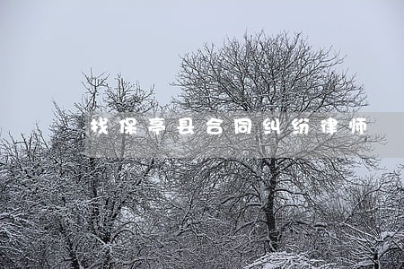 找保亭县合同纠纷律师 找保亭县合同纠纷律师