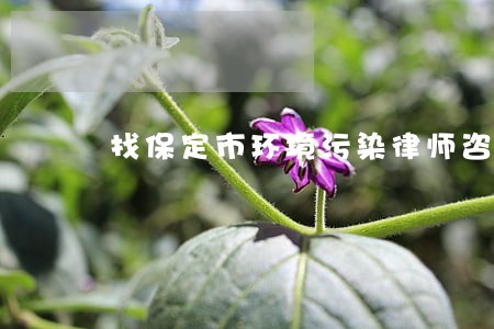 找保定市环境污染律师咨询 找保定市环境污染律师咨询