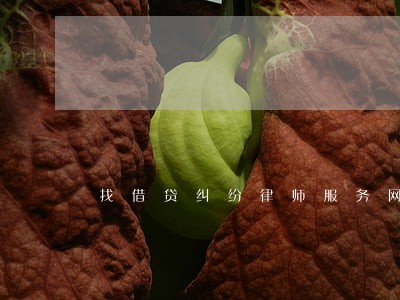 找借贷纠纷律师服务网站 找借贷纠纷律师服务网站
