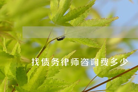 找债务律师咨询费多少 找债务律师咨询费多少