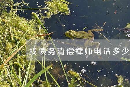 找债务清偿律师电话多少 找债务清偿律师电话多少