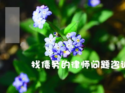 找债务的律师问题咨询