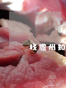 找儋州知名律师上律法无忧 找儋州知名律师上律法无忧