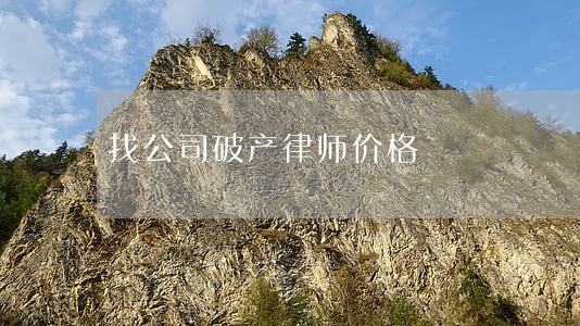 找公司破产律师价格 找公司破产律师价格