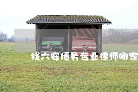 找六安债务专业律师哪家强