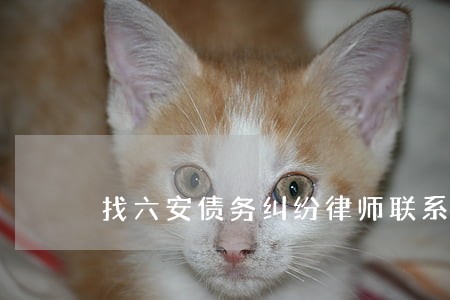 找六安债务纠纷律师联系方式 找六安债务纠纷律师联系方式