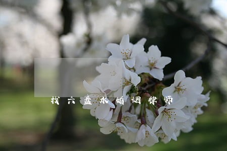 找六盘水婚姻律师