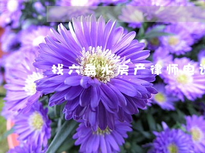 找六盘水房产律师电话 找六盘水房产律师电话