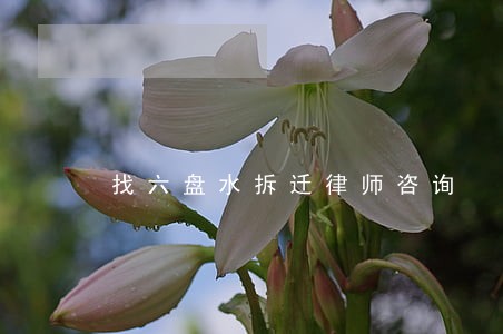 找六盘水拆迁律师咨询 找六盘水拆迁律师咨询