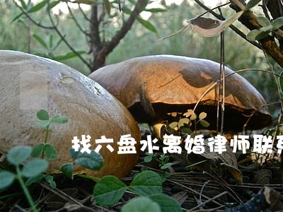 找六盘水离婚律师联系方式 找六盘水离婚律师联系方式