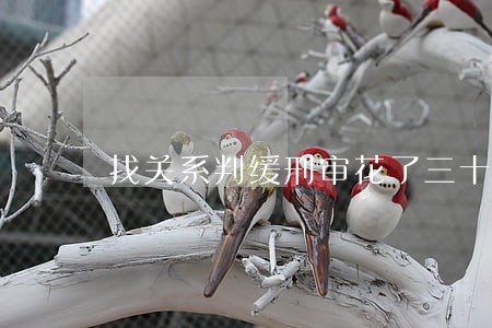 找关系判缓刑审花了三十万 找关系判缓刑审花了三十万