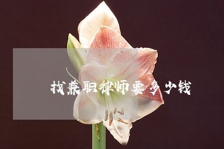 找兼职律师要多少钱 找兼职律师要多少钱