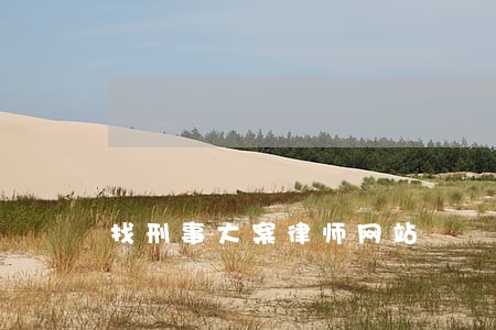 找刑事大案律师网站 找刑事大案律师网站
