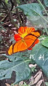找刑事官司律师事务所 找刑事官司律师事务所