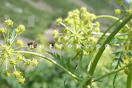 找刑事律师辩护咨询 找刑事律师辩护咨询