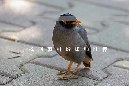 找刑事纠纷律师推荐 找刑事纠纷律师推荐