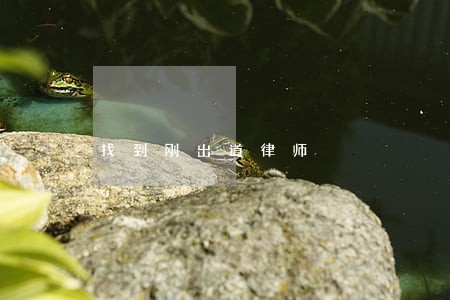 找到刚出道律师