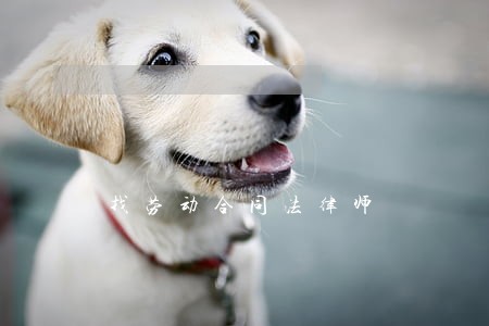 找劳动合同法律师 找劳动合同法律师
